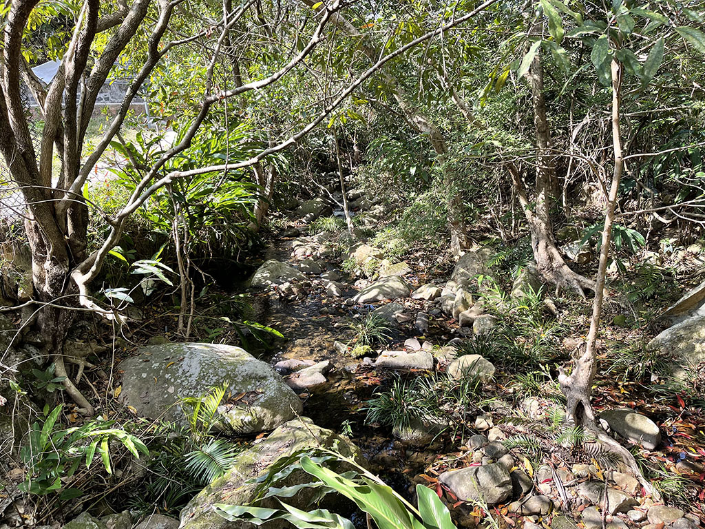 Stream by Hung Fa Ngan Village, Olympic Trail