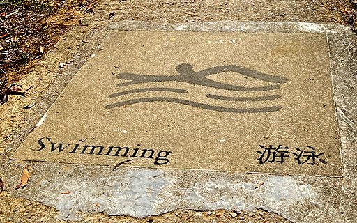 Swimming themed sidewalk inlay, Olympic Trail