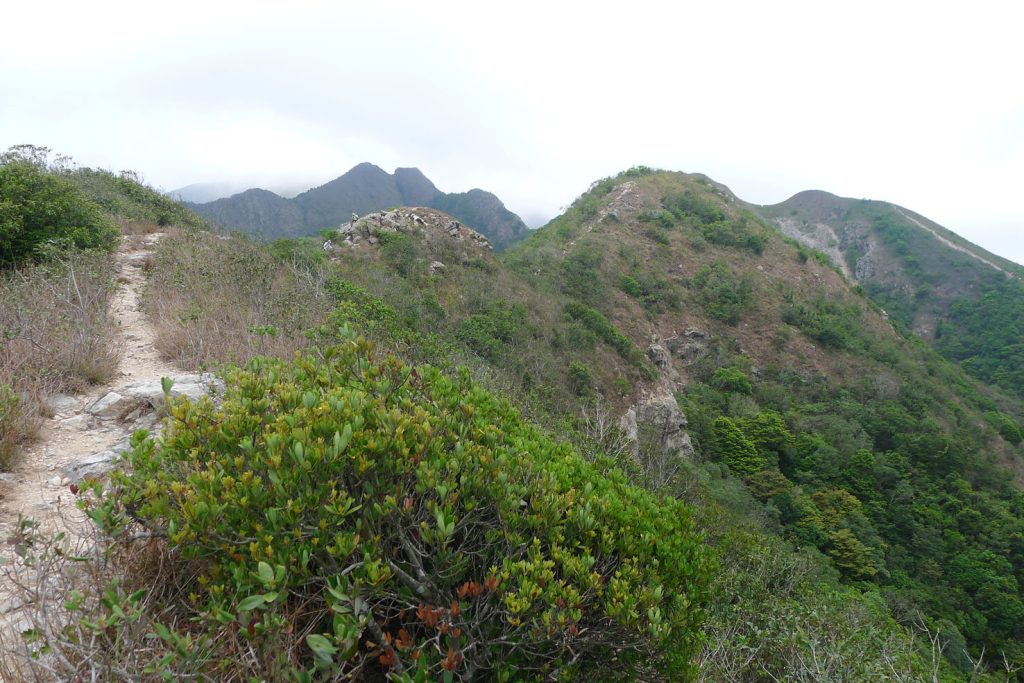 The view of West Dog’s Teeth, Tiger Roar Rock River
and Middle Dog’s Teeth from East Dog’s Teeth, Dog Teeth Range & Tiger’s Roar