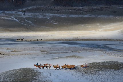 Born from the cradle of civilization, 2023 2600 BC, domestication of horses and Bactrian camels, Altaï, Mongolia They see so many horizons, dawns and dusks, and drink so much from the spring of light that in them burns a flame fuelled by faith and courage which will carry them serenely on their last journey, Marc Progin