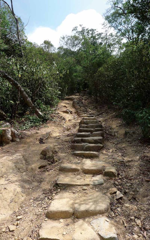 A staircase of boulder smoothed by decades of hikers, Dogs Teeth Range