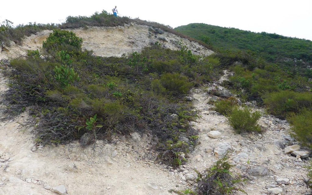 Dust, pebbles and dirt make this section of the trail a challenge to conquer, Dogs Teeth Range