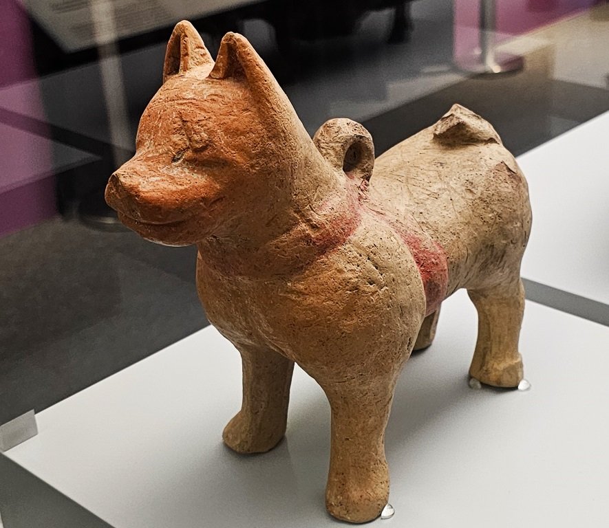 Pottery dog Eastern Han dynasty (25 - 220), Collection of Chengdu Institute of Cultural Relics and Archaeology, Han dynasty