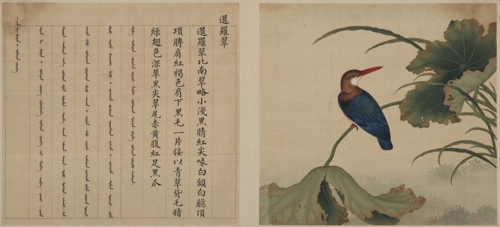 Copy of Jiang Tingxi’s Album of Birds, Qing dynasty (1644-1911), Album leaves, ink and colour on paper, The Palace Museum, Forbidden City and the World