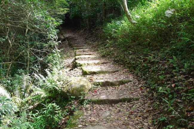 The dense foliage turned the trail in a cool tunnel, Mui Fa Ancient Trail
